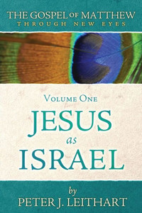 The Gospel Of Matthew Through New Eyes Volume One: Jesus As Israel
