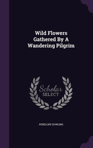 Wild Flowers Gathered By A Wandering Pilgrim Wild Flowers Gathered By A Wandering Pilgrim