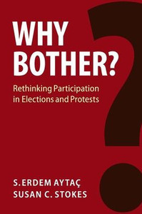 Why Bother? (Cambridge Studies in Comparative Politics)