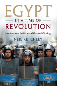 Egypt in a Time of Revolution: Contentious Politics and the Arab Spring (Cambridge Studies in Contentious Politics)