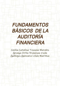 FUNDAMENTOS BASICOS DE LA AUDITOR?A FINANCIERA (Spanish Edition)
