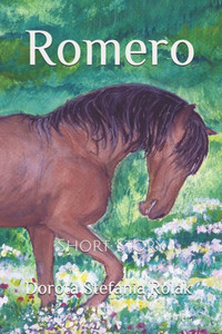 Romero: Short Story Romero: Short Story