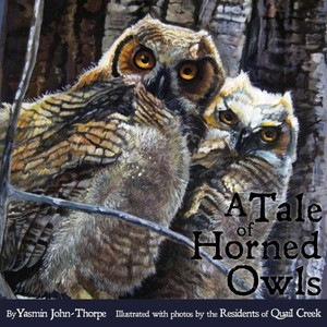 A Tale of Horned Owls