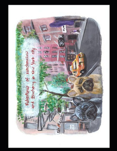 Adventures of Marshmallow and Blueberry in New York City