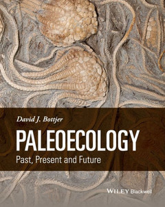 Paleoecology P Paleoecology P