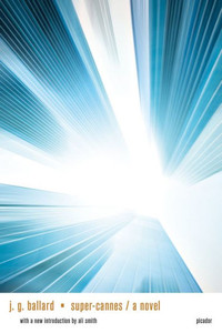 Super-Cannes: A Novel