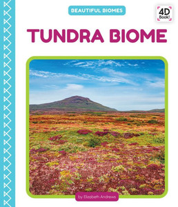 Tundra Biome (Beautiful Biomes)