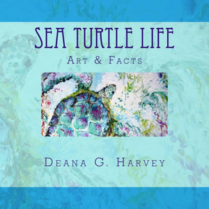 Sea Turtle Life Sea Turtle Life
