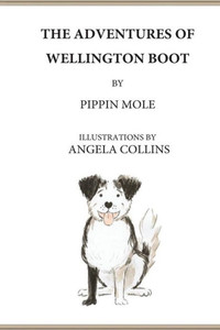 The Adventures Of Wellington Boot The Adventures Of Wellington Boot