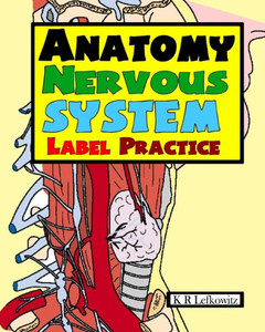Anatomy Nervous System Label Practice Anatomy Nervous System Label Practice