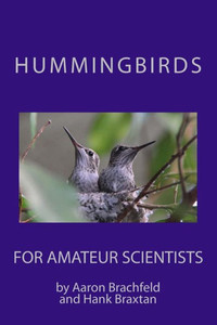 Hummingbirds For Amateur Scientists Hummingbirds For Amateur Scientists