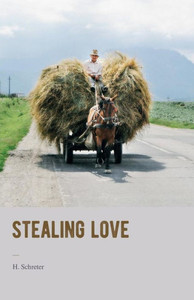 Stealing Love Stealing Love