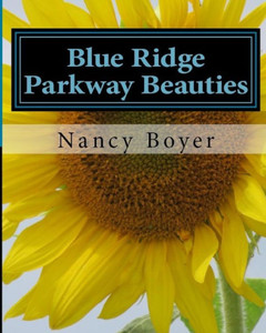 Blue Ridge Parkway Beauties: First In A Series On The Blue Ridge Mountains