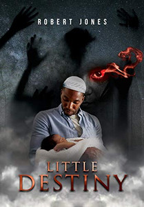 Little Destiny - Hardcover