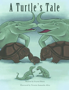 A Turtle'S Tale A Turtle'S Tale