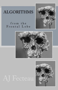 Algorithms From The Frontal Lobe Algorithms From The Frontal Lobe