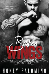 Broken Wings: Gods Of Chaos Mc