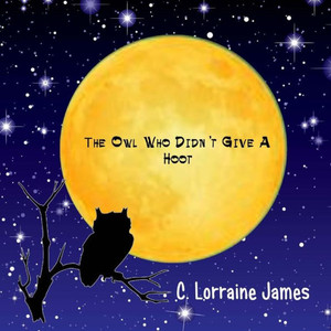 The Owl Who Didn'T Give A Hoot The Owl Who Didn'T Give A Hoot