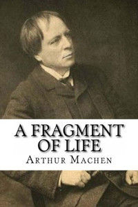 A Fragment Of Life A Fragment Of Life