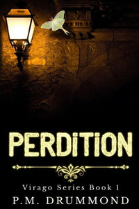 Perdition: (Virago Book 1)