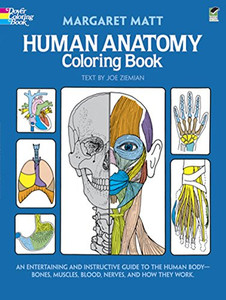 Human Anatomy Coloring Book: an Entertaining and Instructive Guide to the Human Body - Bones, Muscles, Blood, Nerves and How They Work (Coloring Books) (Dover Children's Science Books) Human Anatomy Coloring Book: an Entertaining and Instructive Guide to the Human Body - Bones, Muscles, Blood, Nerves and How They Work (Coloring Books) (Dover Children's Science Books)