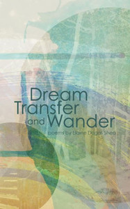 Dream Transfer And Wander Dream Transfer And Wander