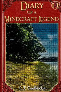 Diary Of A Minecraft Legend: Book 11