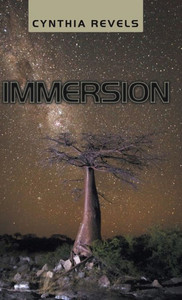 Immersion Immersion