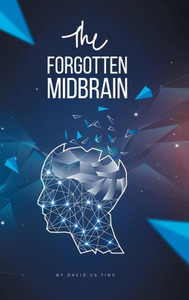 The Forgotten Midbrain The Forgotten Midbrain