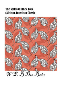 The Souls Of Black Folk (African American Classic)