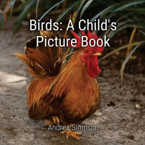 Birds: A Child'S Picture Book