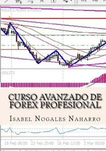 Curso Avanzado De Forex Profesional (Forex Al Alcance De Todos) (Spanish Edition)