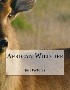 African Wildlife African Wildlife