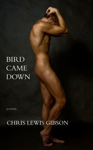 Bird Came Down: A Novel Bird Came Down: A Novel