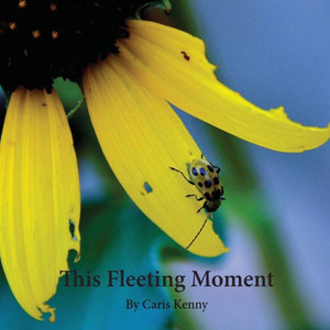 This Fleeting Moment This Fleeting Moment