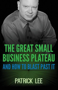 The Great Small Business Plateau The Great Small Business Plateau