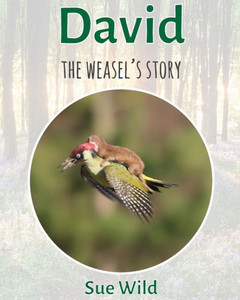 David: The Weasel'S Story (U.K. Mammals)