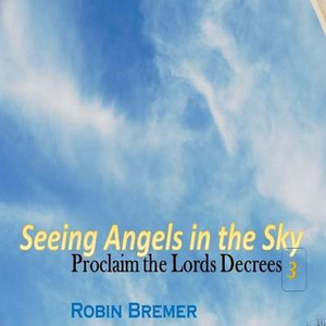 Seeing Angels In The Sky: Proclaim The Lords Decree (Seeing Angles In The Sky)