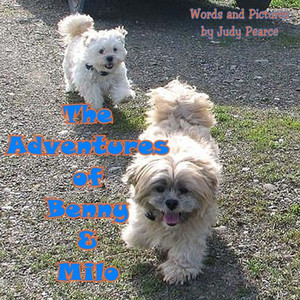 The Adventures Of Benny And Milo: Milo's Journey Across The Rainbow Bridge (Hello, My Name Is Benny)