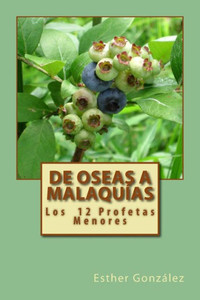De Oseas A Malaquias: Los Profetas Menores (Spanish Edition)