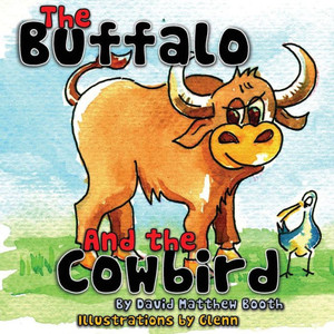 The Buffalo And The Cowbird The Buffalo And The Cowbird