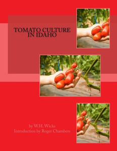 Tomato Culture In Idaho Tomato Culture In Idaho