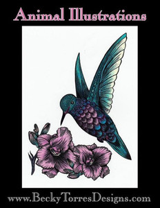 Animal Illustrations Animal Illustrations