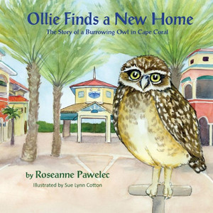 Ollie Finds A New Home: The Story Of Burrowing Owl In Cape Coral