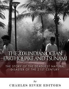 The 2004 Indian Ocean Earthquake And Tsunami: The Story Of The Deadliest Natural Disaster Of The 21St Century