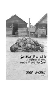 So Much From Little So Much From Little
