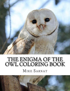 The Enigma Of The Owl Coloring Book The Enigma Of The Owl Coloring Book