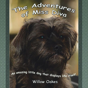 The Adventures Of Miss Diva The Adventures Of Miss Diva