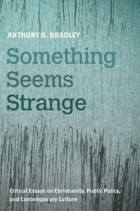 Something Seems Strange: Critical Essays On Christianity, Public Policy, And Contemporary Culture