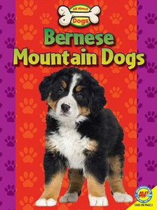 Bernese Mountain Dogs (All About Dogs)